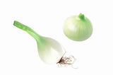 fresh onion isolated on white