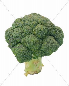 Broccoli cabbage isolated on white background
