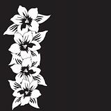 Abstract black and white floral vector background