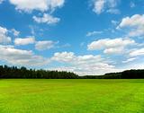 Beautiful green field and blue sky
