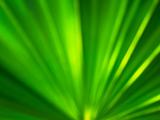 Radius Green Aura