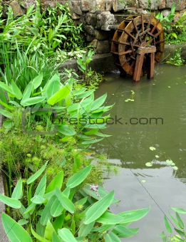 pool with water wheel