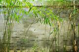 bamboo and brick wall