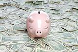 Piggy Bank Money