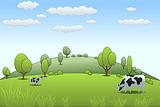 Cow Farm