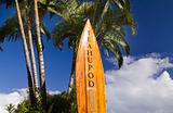 The Winners List Surf Board at the World Famous Teahupoo 