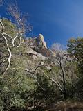 Arizona Landscape