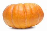 Single fresh pumpkin