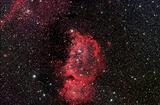 Emperor Nebula ic1848