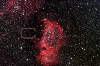 Emperor Nebula ic1848