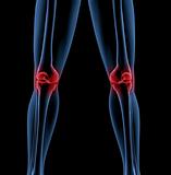 Legs of a medical skeleton