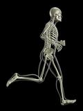 Running medical skeleton
