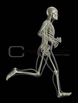 Running medical skeleton