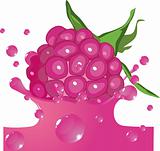 Raspberry falls in juice
