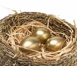 Three golden hen's eggs in bird nest over white
