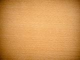 Beech wood texture