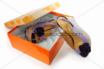 Female sandals  in a box