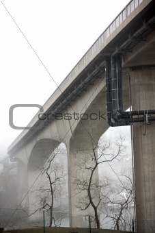 Bare tress under bridge in fog