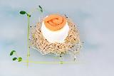 Single boiled egg with caviar on top