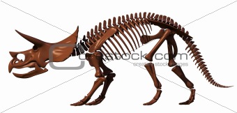 Tritseratops skeleton