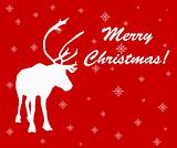 Caribou reindeer Christmas card