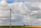 Windfarm of Green Energy Wind Turbines 