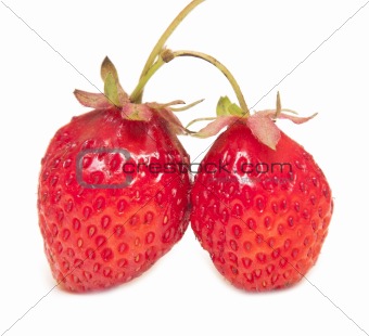 strawberry isolated on white background 