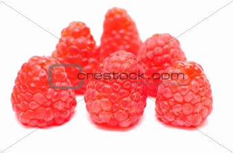 fresh raspberry 