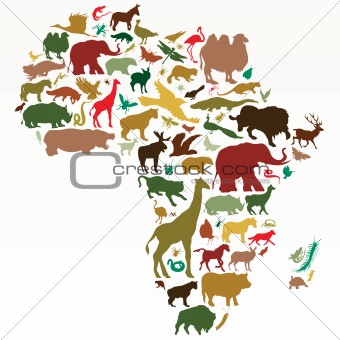 animals of Africa
