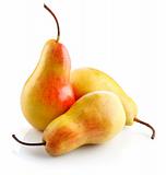 fresh pear fruits isolated