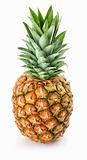 fresh pineapple fruits with green leaf