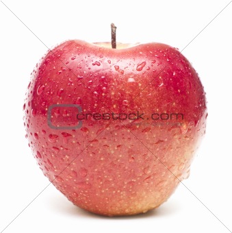 wet red apple covered by water drops on white background