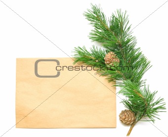 brown envelope for letters with pine branch