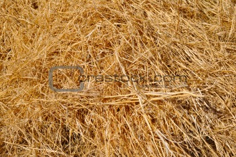 abstract background made from straw