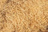 abstract background made from straw