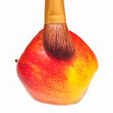 red apple and brush