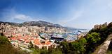 Monte Carlo Panorama