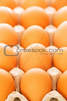 Many brown eggs in the basket - shallow DOF