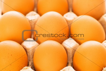 Many brown eggs in the basket - shallow DOF