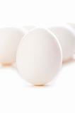 Eggs on white - shallow depth of field