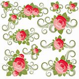 Roses collection, vector illustration.
