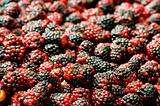 Lots of berries arranged at the background