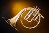Antique French Horn Isolated