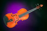 Violin antique isolated on Purple