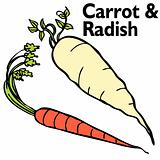 Radish Carrot Set