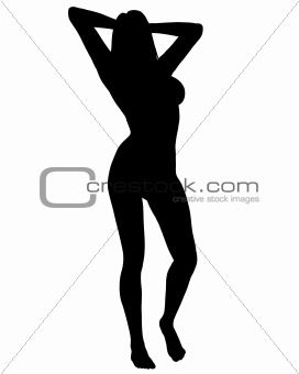Sexy Woman Silhouette 04