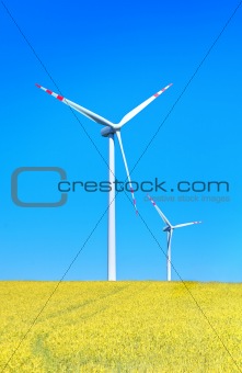 yellow field and wind turbines