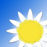 Flower-sun on a blue background