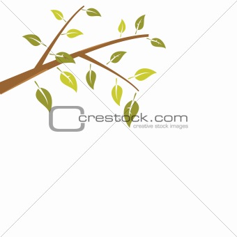 Abstract branch tree is isolated on white background