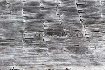 Wood Texture from a Log Cabin